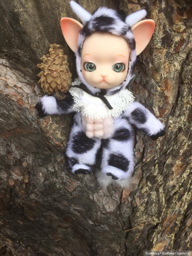 Крошка Pang на лесной прогулке