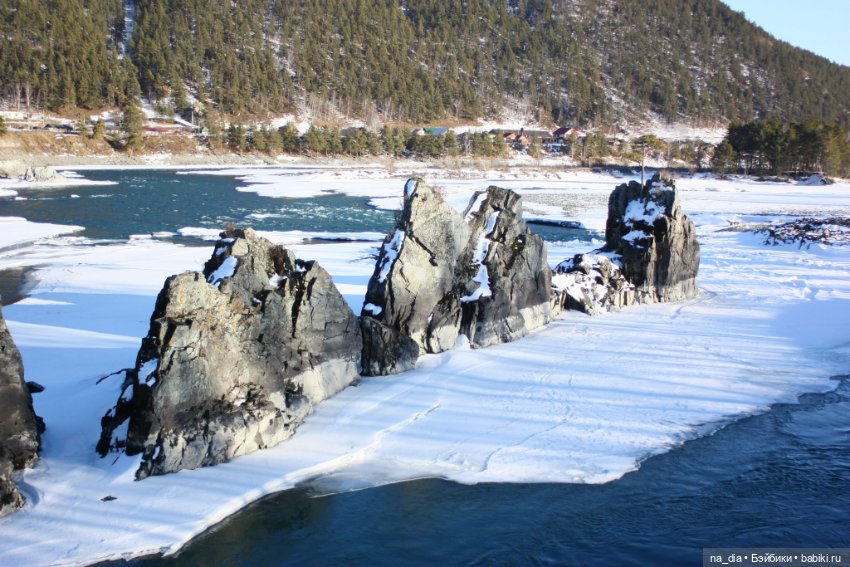 Приключения Саи на Алтае. Часть 1