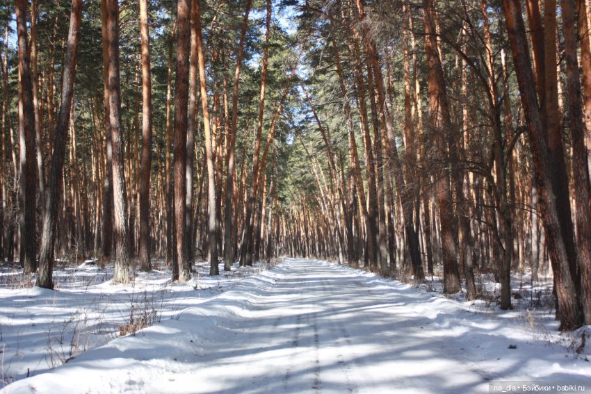 Приключения Саи на Алтае. Часть 1