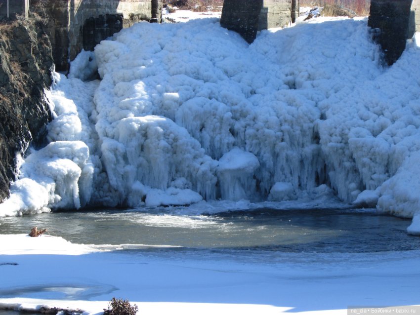 Приключения Саи на Алтае. Часть 1