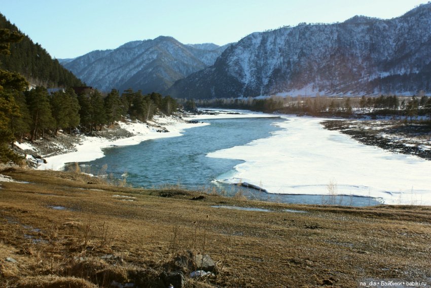 Приключения Саи на Алтае. Часть 1
