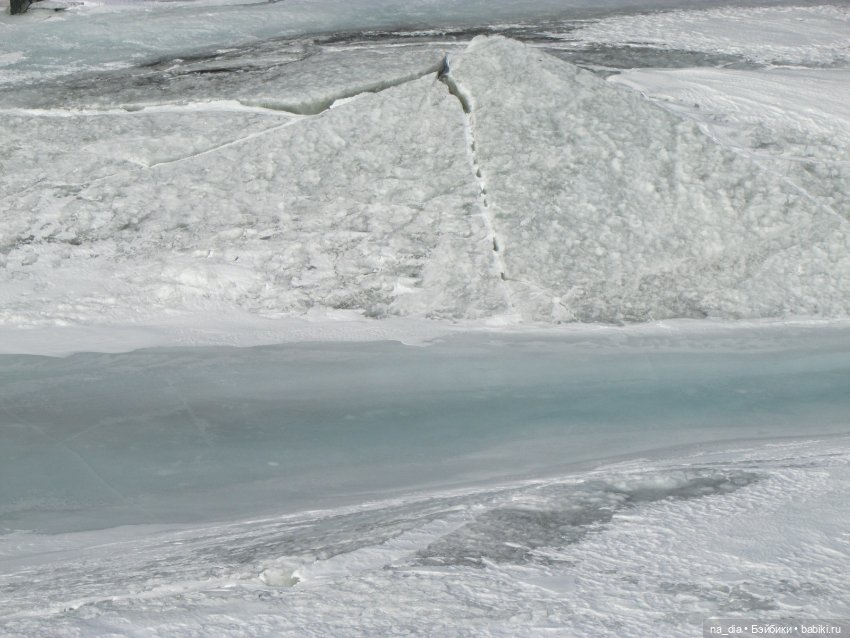 Приключения Саи на Алтае. Часть 1