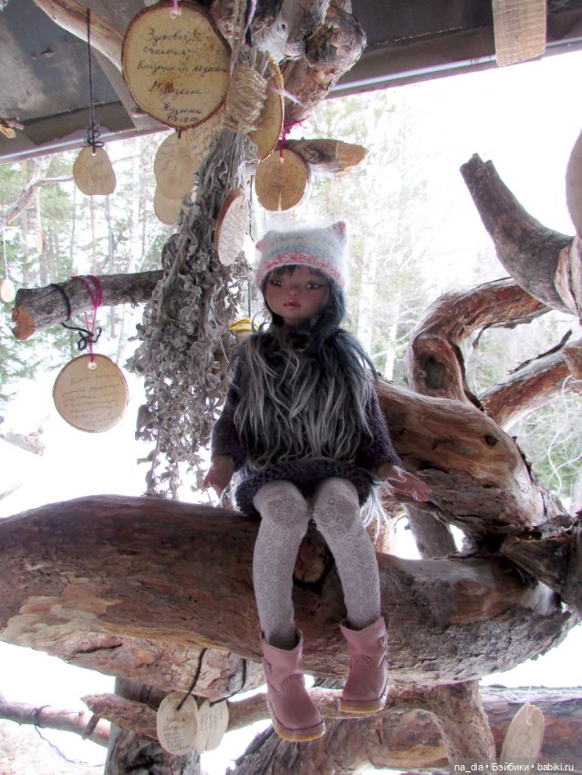 Приключения Саи на Алтае. Часть 1