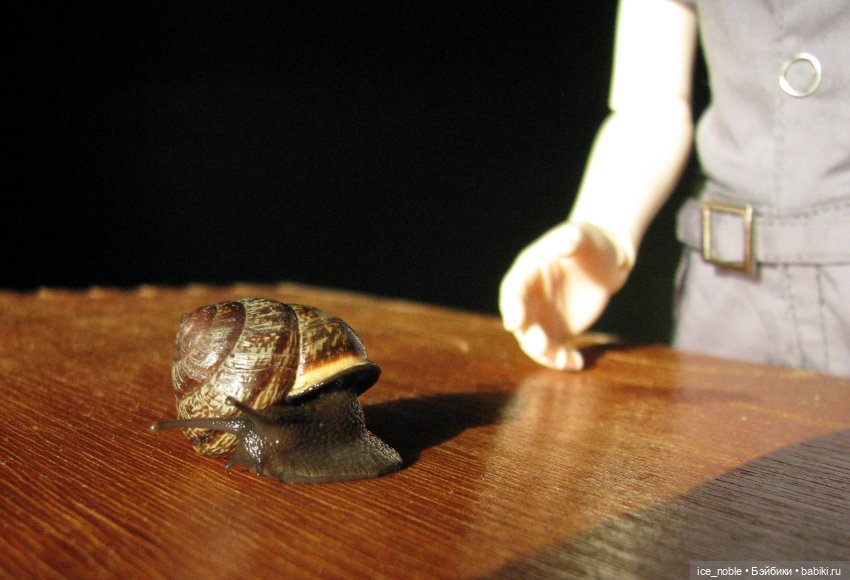 Верджил — Гибридизация кукол BJD (БЖД): пересадка головы (фото 3)