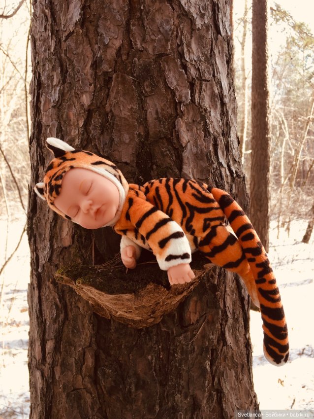 В сказочном лесу — Куклы Anne Geddes (Анна Геддес): малыши