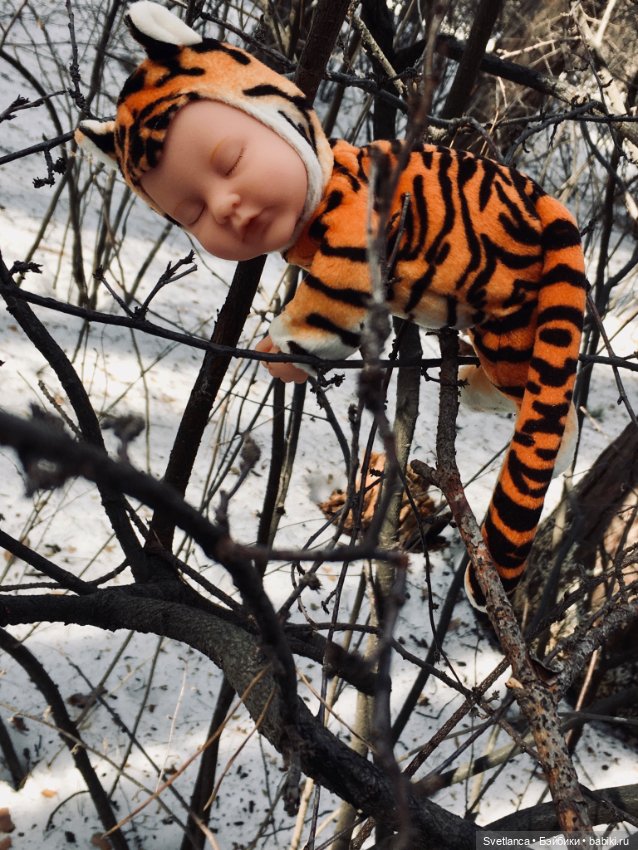 В сказочном лесу — Куклы Anne Geddes (Анна Геддес): малыши (фото 7)