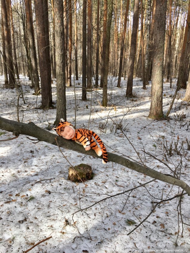 В сказочном лесу — Куклы Anne Geddes (Анна Геддес): малыши
