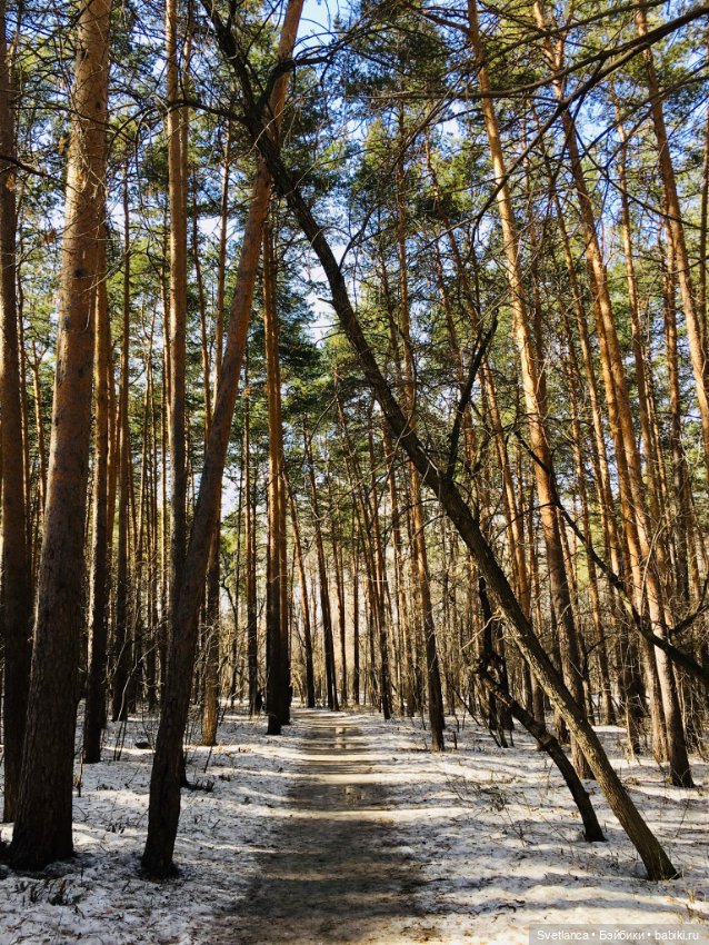 В сказочном лесу — Куклы Anne Geddes (Анна Геддес): малыши