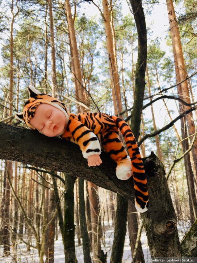 В сказочном лесу — Куклы Anne Geddes (Анна Геддес): малыши