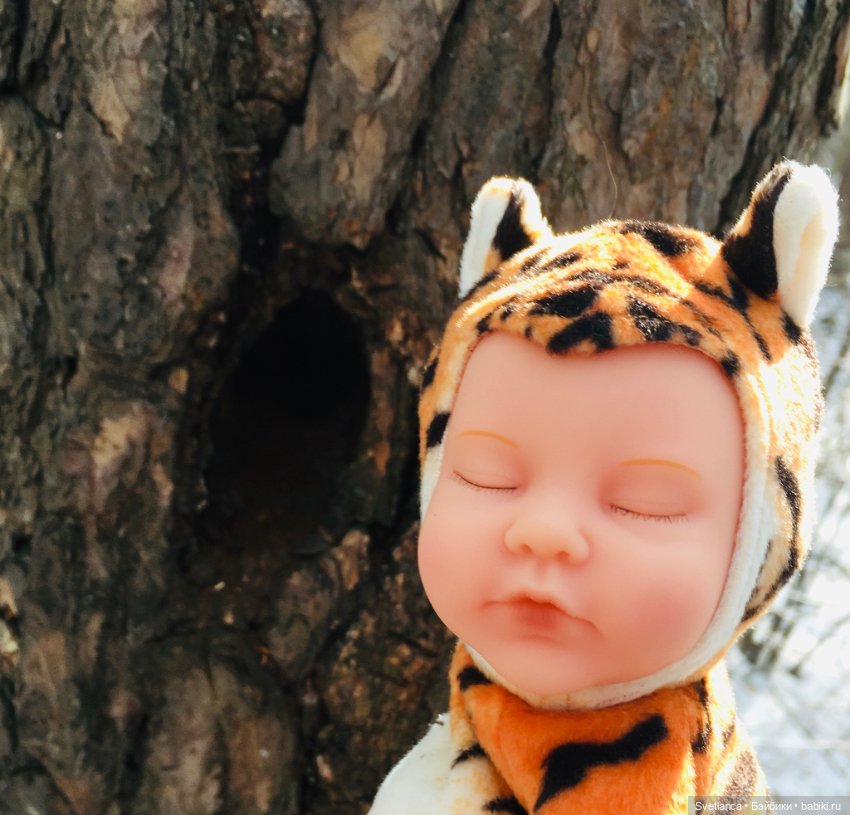 В сказочном лесу — Куклы Anne Geddes (Анна Геддес): малыши (фото 4)