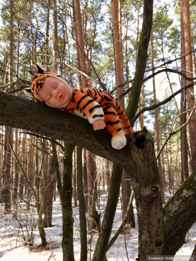 В сказочном лесу — Куклы Anne Geddes (Анна Геддес): малыши