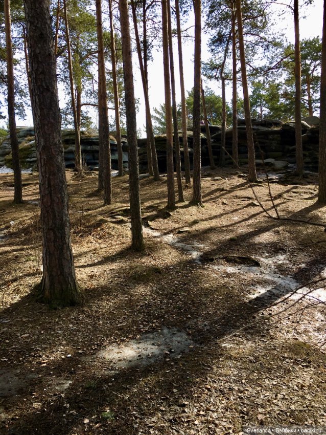 В сказочном лесу — Куклы Anne Geddes (Анна Геддес): малыши