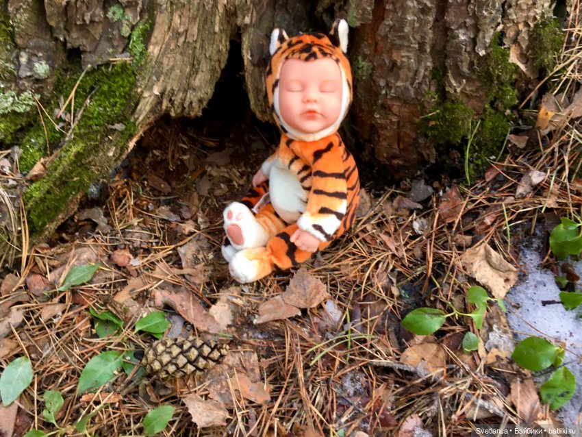 В сказочном лесу — Куклы Anne Geddes (Анна Геддес): малыши