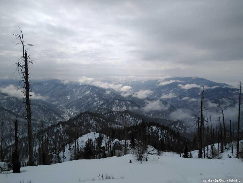 Сая на Алтае. Часть 2 — Куклы Dust of Dolls (Даст оф Доллс): BJD (БЖД)