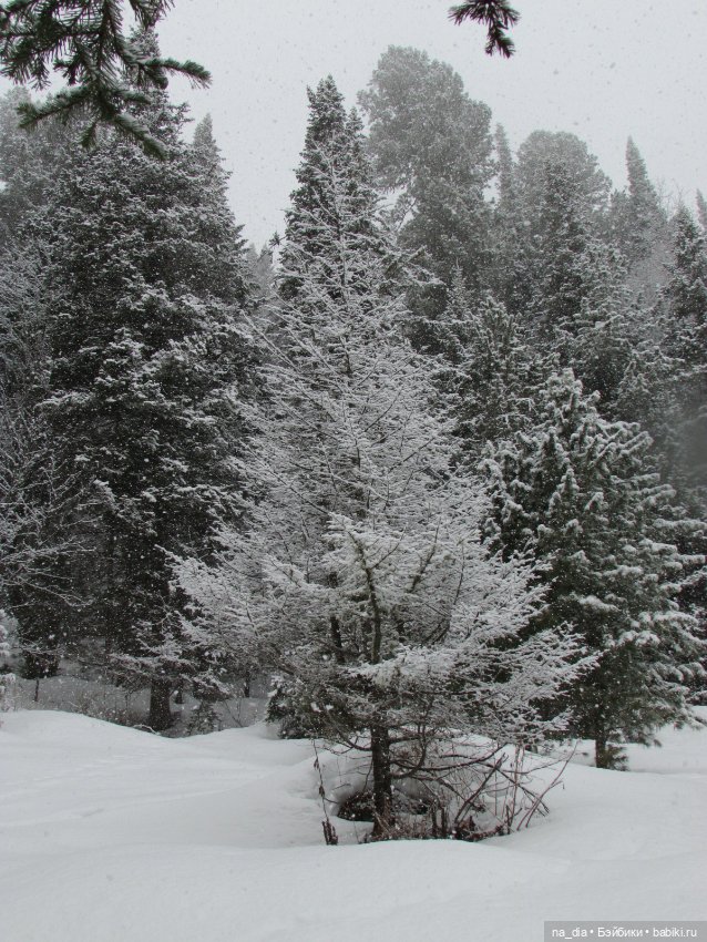 Сая на Алтае. Часть 2 — Куклы Dust of Dolls (Даст оф Доллс): BJD (БЖД)