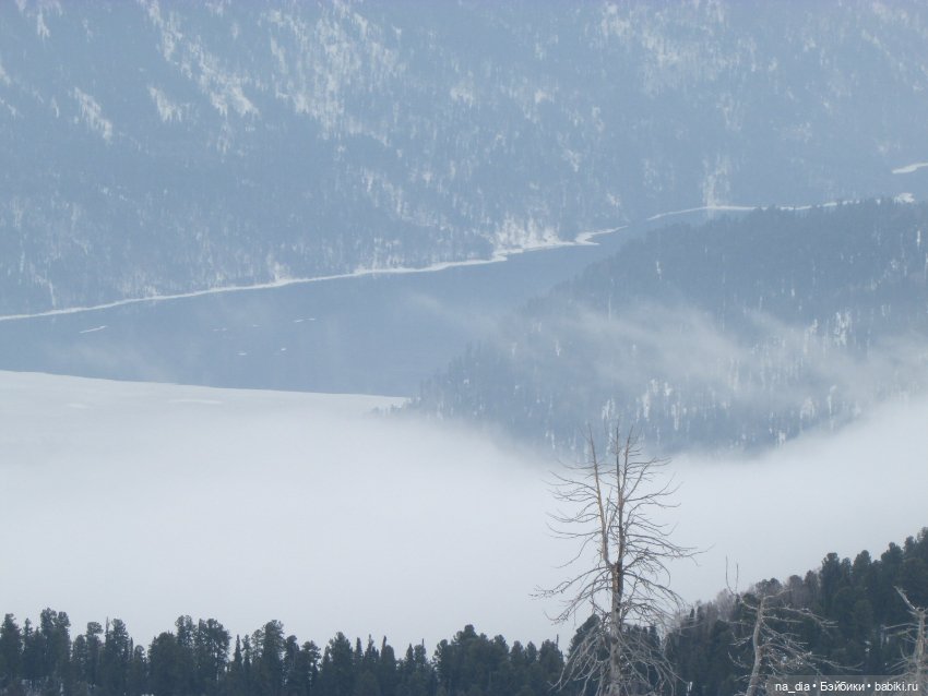 Сая на Алтае. Часть 2 — Куклы Dust of Dolls (Даст оф Доллс): BJD (БЖД) (фото 5)