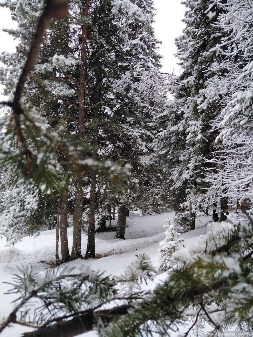 Сая на Алтае. Часть 2 — Куклы Dust of Dolls (Даст оф Доллс): BJD (БЖД)