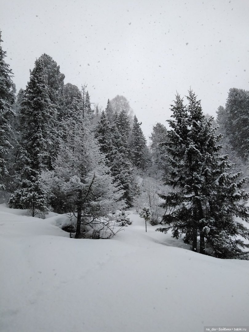 Сая на Алтае. Часть 2 — Куклы Dust of Dolls (Даст оф Доллс): BJD (БЖД)