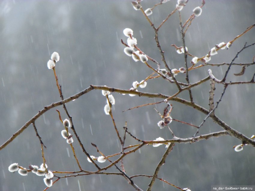 Сая на Алтае. Часть 2 — Куклы Dust of Dolls (Даст оф Доллс): BJD (БЖД) (фото 3)