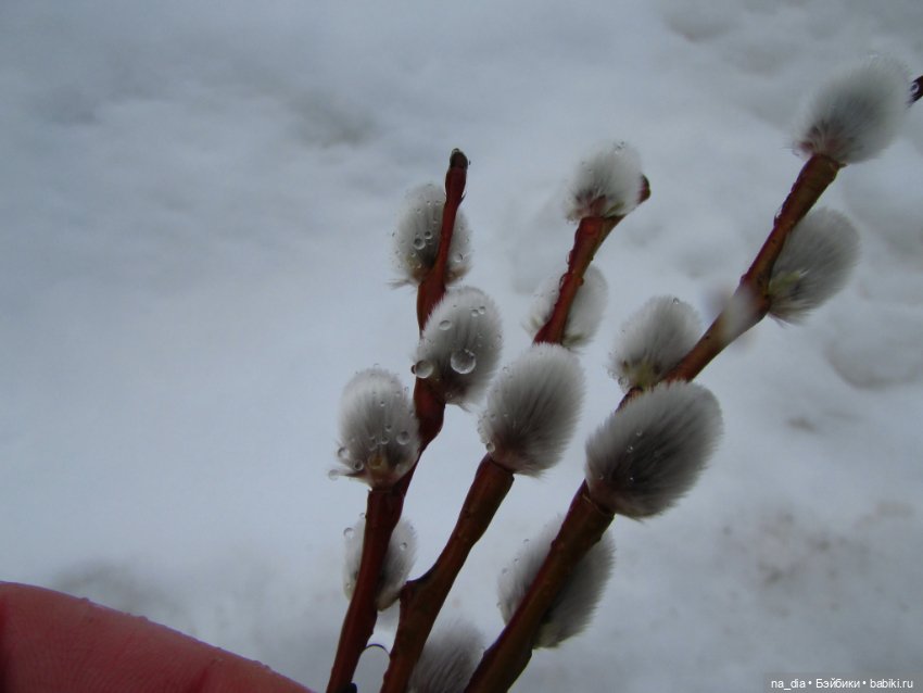 Сая на Алтае. Часть 2 — Куклы Dust of Dolls (Даст оф Доллс): BJD (БЖД) (фото 4)