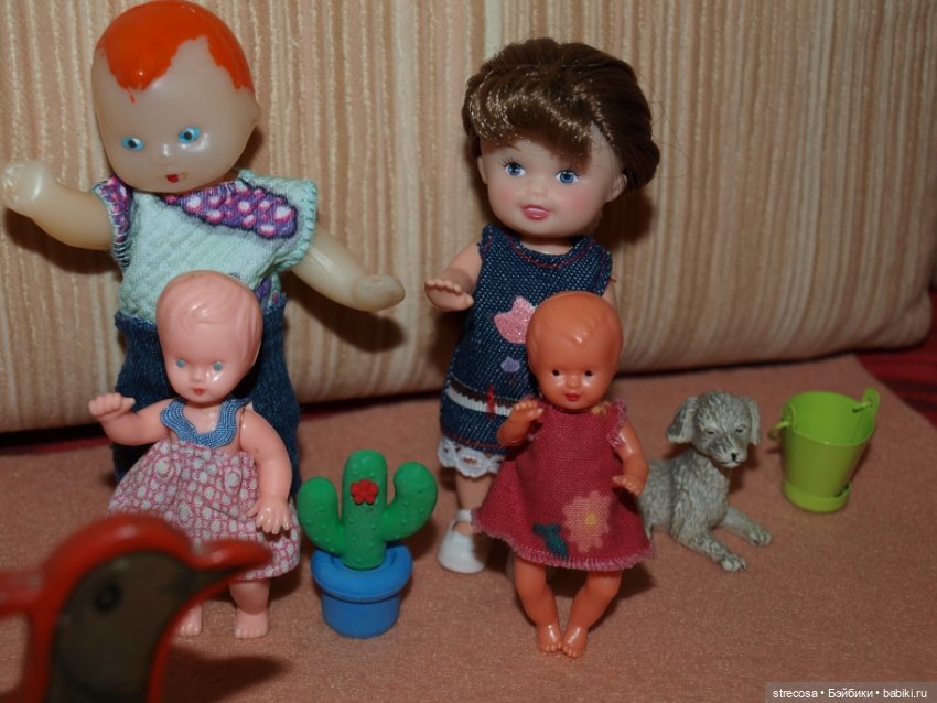 Пупсики - путешественники (фото 9)