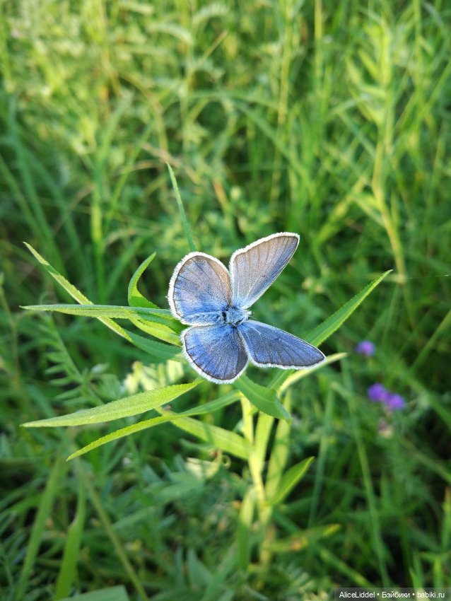 Это было летом — Туризм и путешествия: фотоотчеты из поездок (фото 5)
