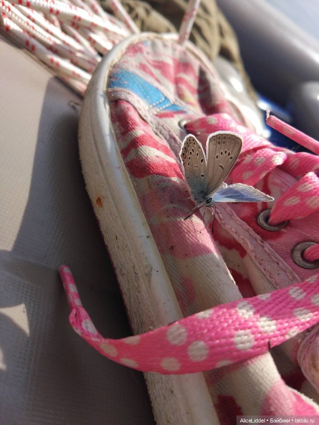 Это было летом — Туризм и путешествия: фотоотчеты из поездок (фото 9)