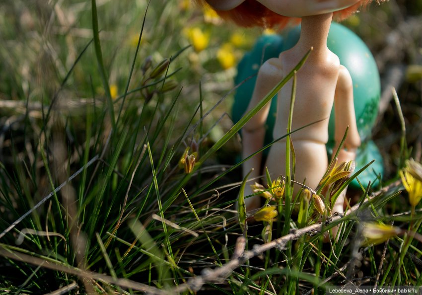 Выгул улиточки и собаки — Куклы Doll Chateau (Доллшато): BJD (БЖД) (фото 3)