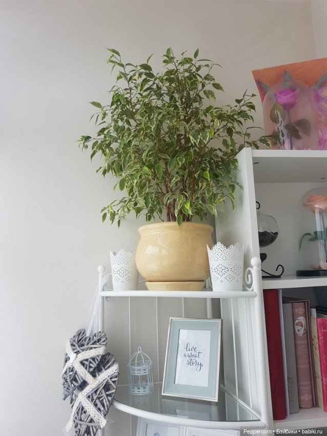 Мой уголок или лоджия для релакса (фото 10)