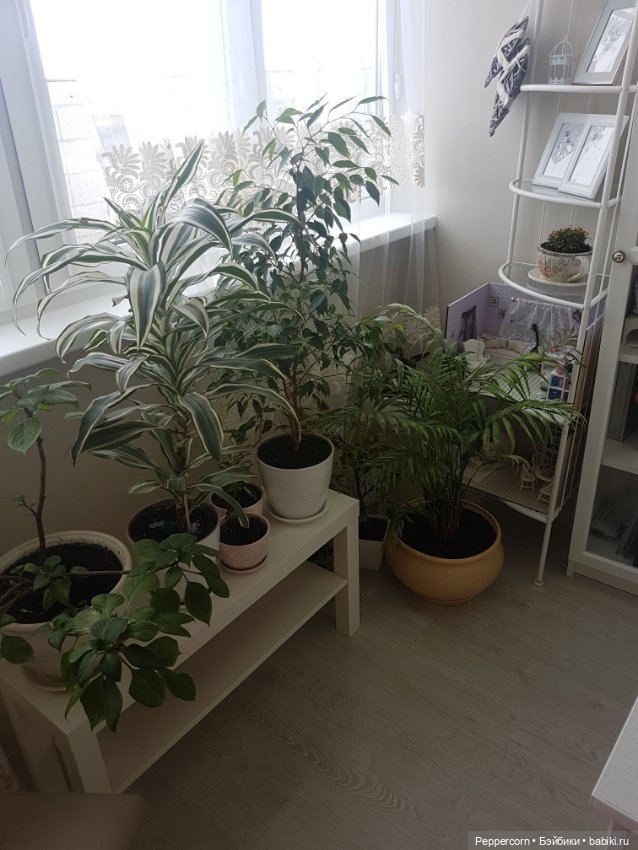 Мой уголок или лоджия для релакса (фото 4)