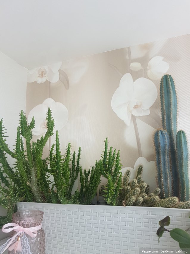 Мой уголок или лоджия для релакса