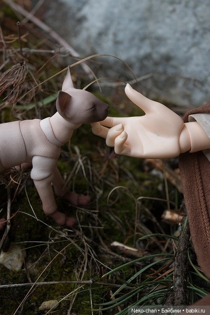 Два одиночества, или как у колдуньи появился кот