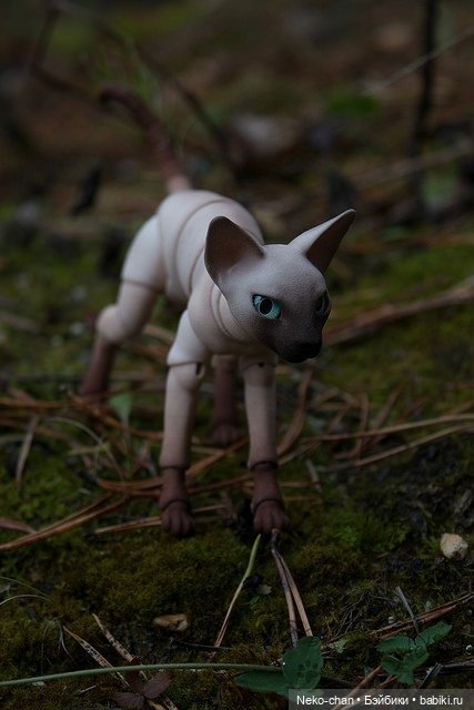 Два одиночества, или как у колдуньи появился кот