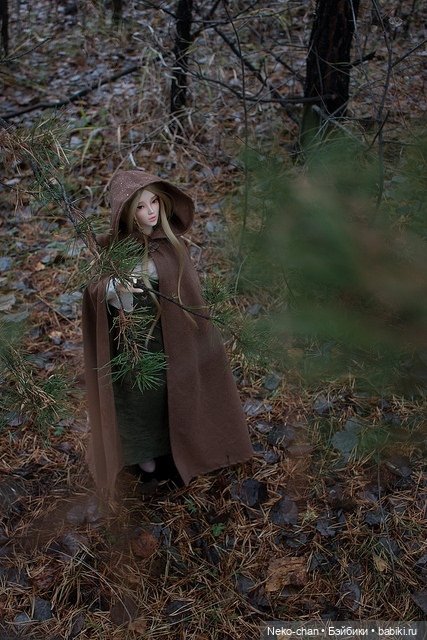 Два одиночества, или как у колдуньи появился кот (фото 7)