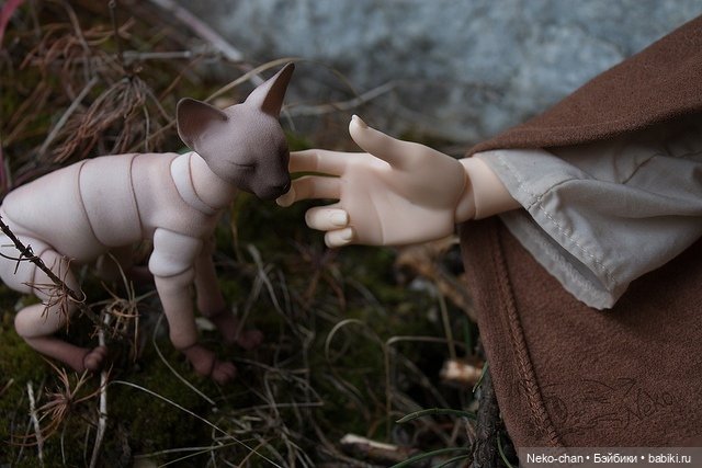 Два одиночества, или как у колдуньи появился кот