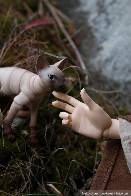 Два одиночества, или как у колдуньи появился кот