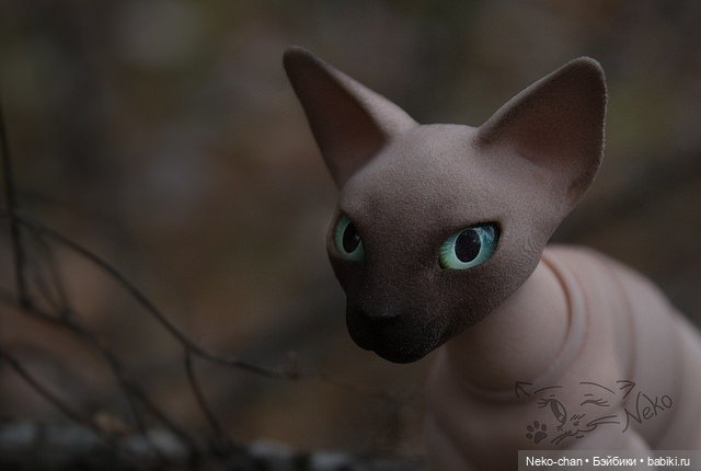 Два одиночества, или как у колдуньи появился кот (фото 8)