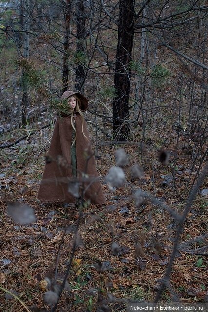 Два одиночества, или как у колдуньи появился кот (фото 6)