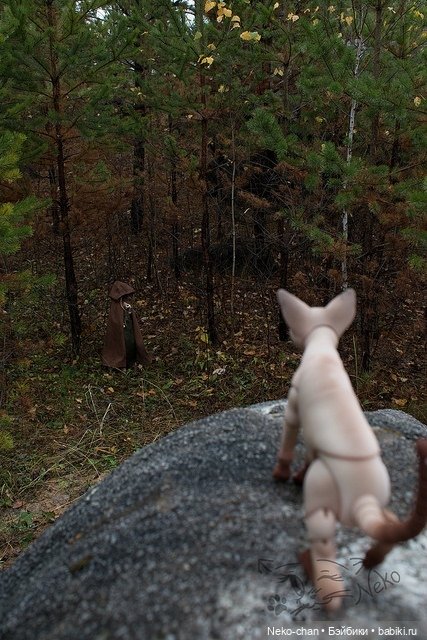 Два одиночества, или как у колдуньи появился кот (фото 9)