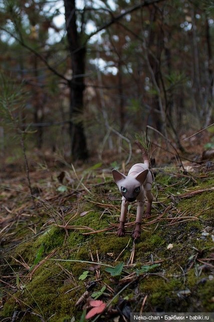 Два одиночества, или как у колдуньи появился кот
