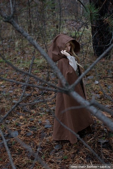 Два одиночества, или как у колдуньи появился кот (фото 2)