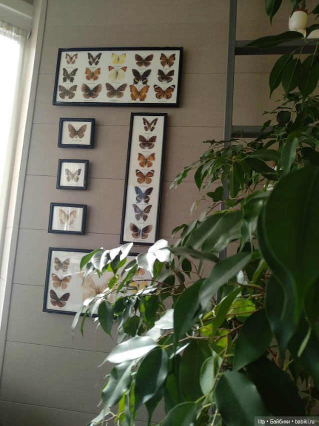 Ещё раз про мой уютный уголок (фото 4)