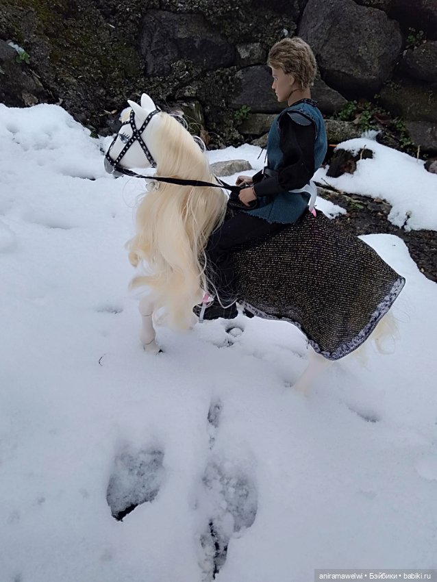 На лошади по сугробам — Разные шарнирные куклы (не БЖД): редкие (фото 2)