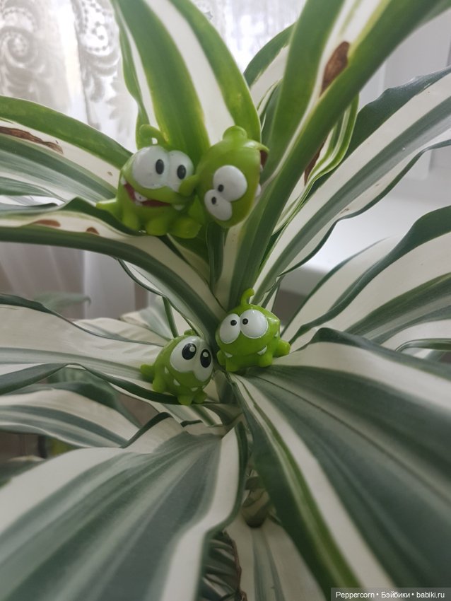 Просто так — Куклы Fairyland (ФэйриЛэнд): BJD (БЖД) (фото 2)