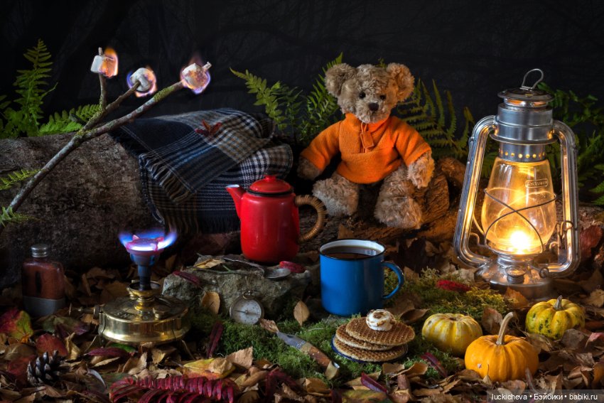 Увлекательная жизнь мягких игрушек в фотографиях автора Marcus Rodriguez (фото 9)