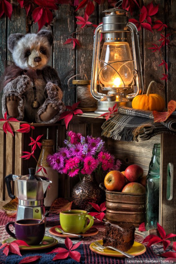 Увлекательная жизнь мягких игрушек в фотографиях автора Marcus Rodriguez (фото 8)