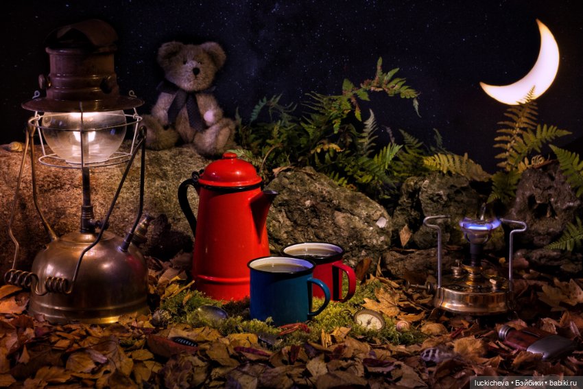 Увлекательная жизнь мягких игрушек в фотографиях автора Marcus Rodriguez (фото 10)