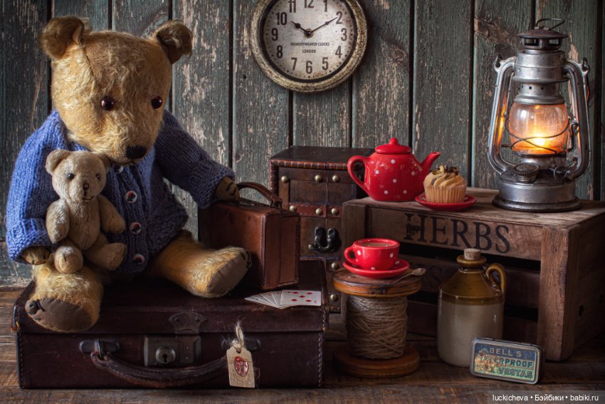 Увлекательная жизнь мягких игрушек в фотографиях автора Marcus Rodriguez