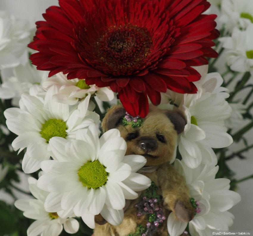 Если б мишки были бабочками (фото 8)