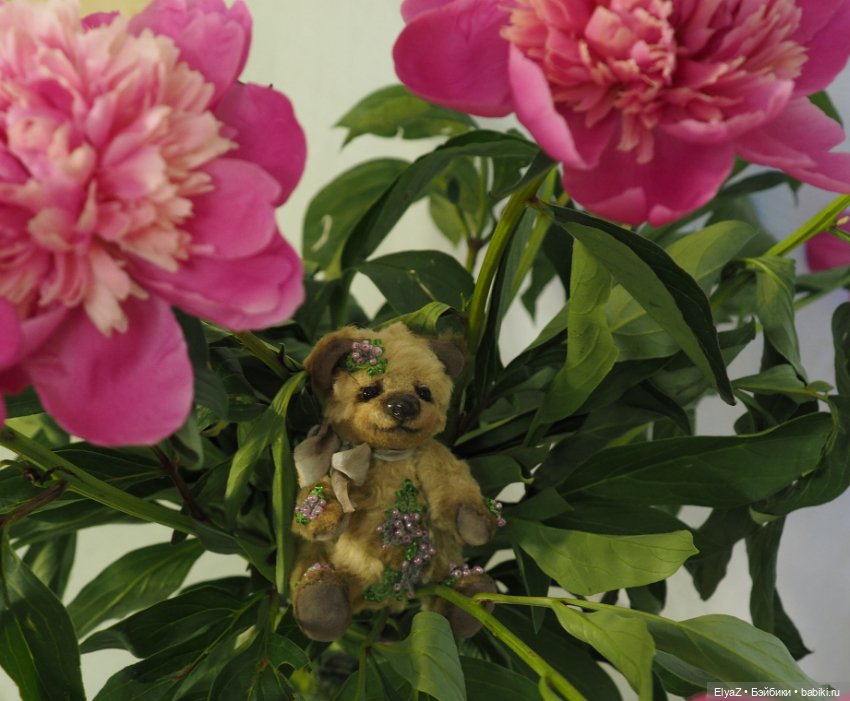 Если б мишки были бабочками (фото 2)